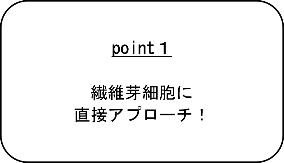 コララ「オーエムシー株式会社」